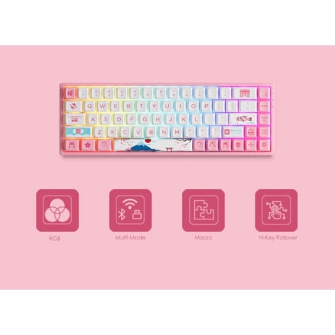 Bàn phím cơ AKKO 3068B Plus Black Gold / Blue on White / Black Cyan / World Tour Tokyo