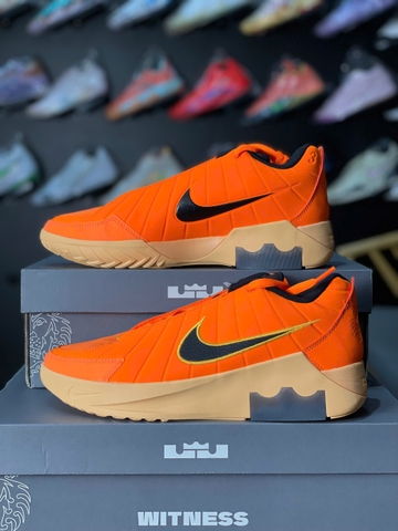 Nike Lebron Witness 9