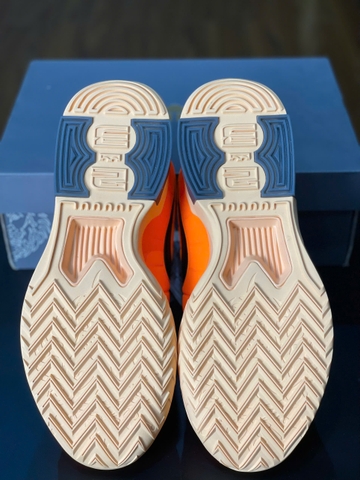 Nike Lebron Witness 9