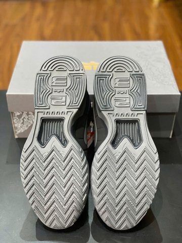 Nike Lebron Witness 9