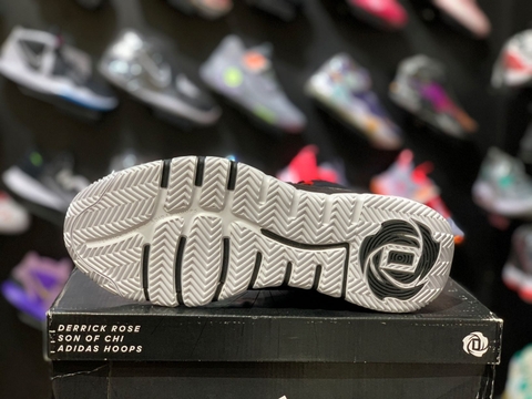 ADIDAS ROSE SON OF CHI BRED