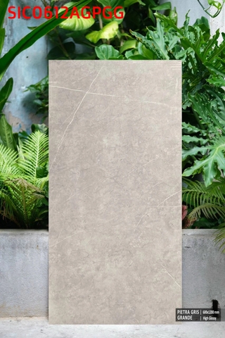 Gạch nhập khẩu Ấn Độ Pietra Gris Grande - hight glossy - SIC0612AGPGG (Kt:600x1200)