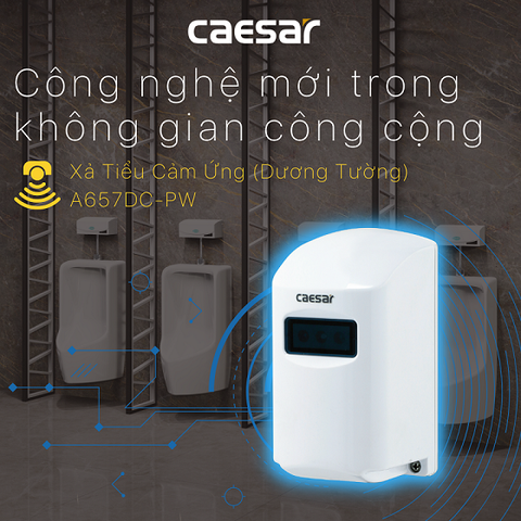 Xả tiểu Caesar A657DC-PW cảm ứng từ