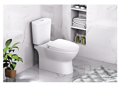 Bồn cầu 2 khối Caesar CD1320