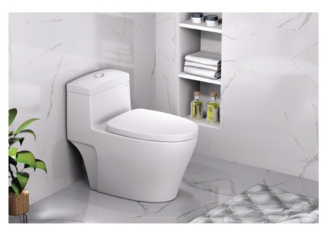 Bồn cầu 1 khối Caesar C1356