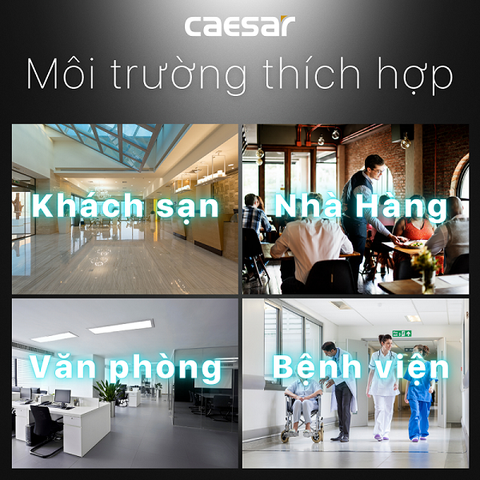 Hộp xà phòng nước đôi gắn tường Caesar Q832