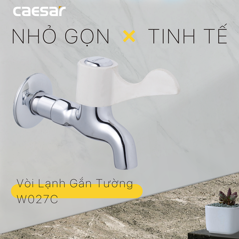 Vòi gắn tường Caesar W027C