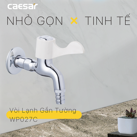 Vòi gắn tường Caesar WP027C