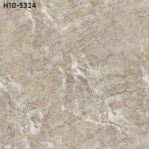 Gạch lát nền men bóng 50x50 : HCM10 - 5324