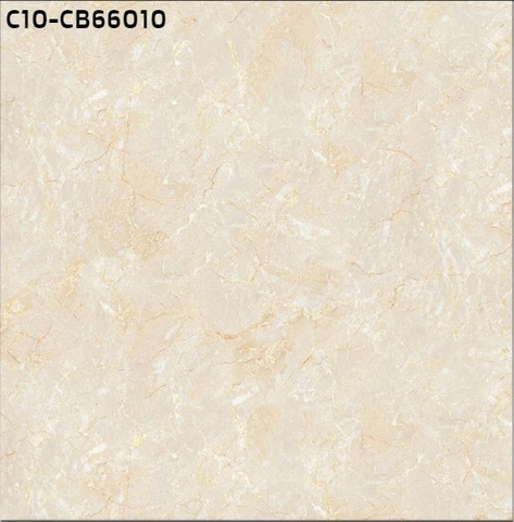 Gạch lát nền ceramic bóng 60x60 : CT10 - CB66010