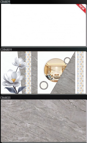 Gạch ốp tường Ceramic Bóng : C10-CB48019, C10-CDB48019, C10-CB48020