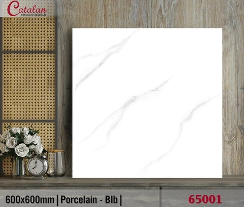 Gạch lát nền 60x60 CTL-DBK65001