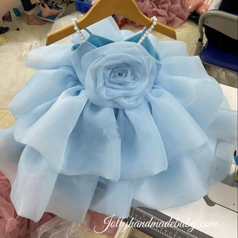 Girls Flower Fluffy Dress | Blue Baby Organza Dress | Celebrating Your Girl’s Special Day