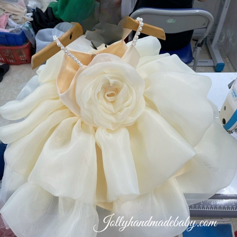 Girls Flower Fluffy Dress | Ivory Baby Organza Dress | Celebrating Your Girl’s Special Day