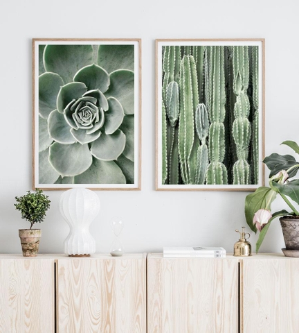 Set 2 Tranh Treo Tường Tráng gương/Canvas Sương Rồng Sen Đá Tropical Xanh Lá - MELYHOME