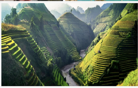 Tranh treo tường Việt Nam-  ruộng bậc thang (tỷ lệ 2:3) -4