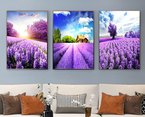 Bộ 3 tranh treo tường Canvas Tráng gương cao cấp Hoa violet Tím Trang Trí -4
