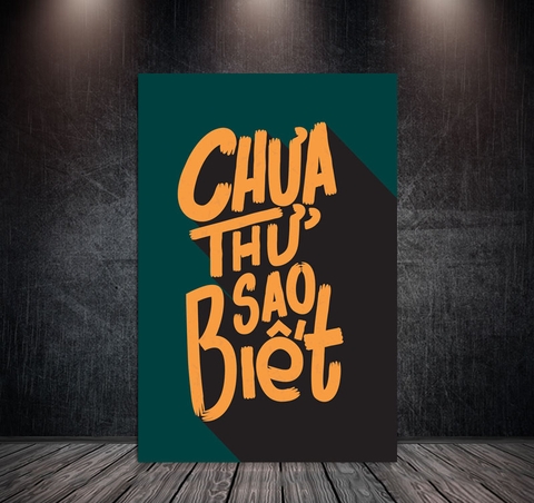 Tranh Treo Tường Đơn Dọc Động Lực Tiếng Việt -Chưa thử sao biết - DL43-23