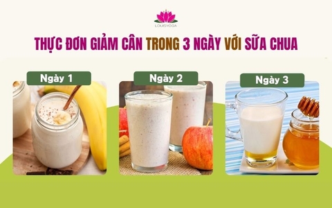 Gợi ý thực đơn giảm cân trong 3 ngày với sữa chua