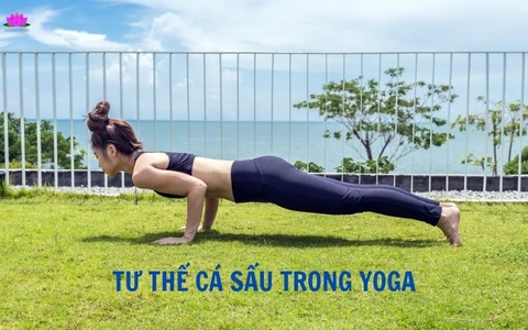 Tư thế cá sấu trong Yoga: Lợi ích, cách tập hiệu quả nhất