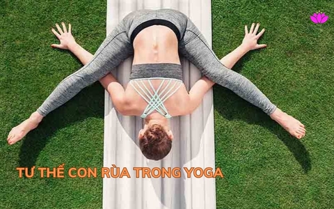 Tư thế con rùa trong Yoga: Hiểu đúng để tập luyện hiệu quả