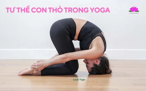 Tư thế con thỏ trong Yoga: Bí quyết giúp cho lưng khỏe