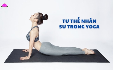 Cách tập tư thế nhân sư trong Yoga đúng chuẩn và hiệu quả nhất