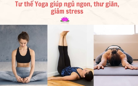 8 tư thế Yoga giúp ngủ ngon, thư giãn, giảm stress