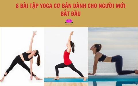 8 bài tập Yoga cơ bản dành cho người mới bắt đầu