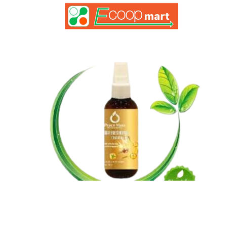 Xịt côn trùng Peace Mass 100ml