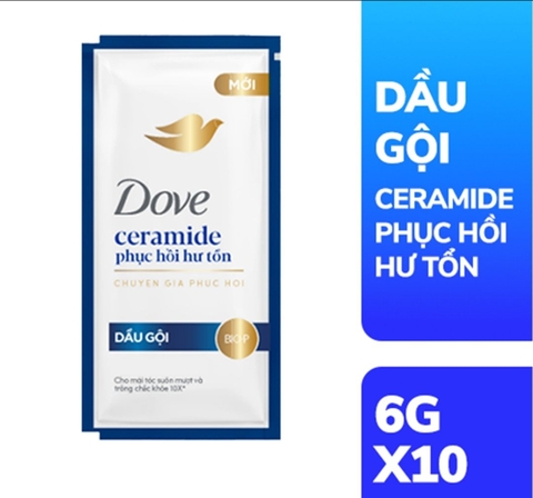 DOVE Dầu gội Phục hồi hư tổn 6gx10