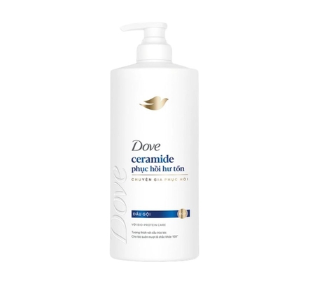 DOVE Dầu gội CERAMIDE phục hồi hư tổn 600g/chai