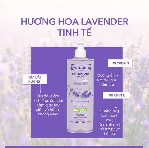 Gel tắm thiên nhiên thuần chay Evoluderm tinh chất Lavender 500ml