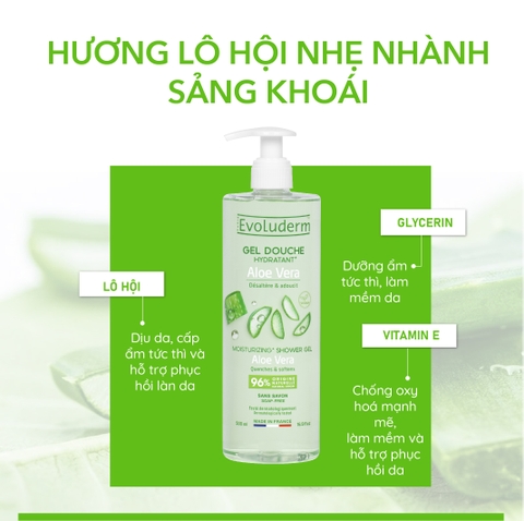 Gel tắm thiên nhiên thuần chay Evoluderm tinh chất Nha đam 500ml