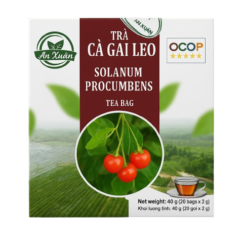 Trà túi lọc cà gai leo An Xuân 40g (20 túi lọc x 2g)