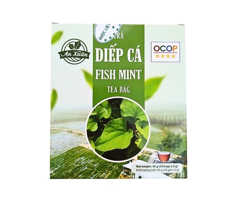 Trà túi lọc diếp cá An Xuân 40g (20 túi lọc x 2g)