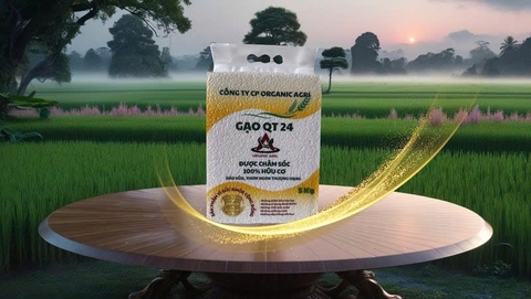 GẠO 100% HỮU CƠ - GẠO QT 24 (Túi 5Kg)