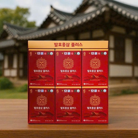 Thực phẩm bổ sung: Nước hồng sâm lên men Hàn Quốc - Fermented Korean Red Ginseng Plus, 50ml/gói, 30 gói/hộp