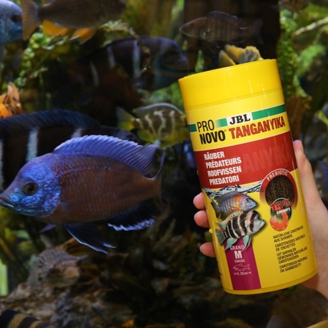 Thức ăn dành cho cá Cichlid Tanganyika - JBL PRONOVO TANGANYIKA GRANO M
