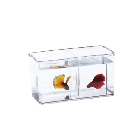Hồ cá Betta - Ista Betta Fish Display Case