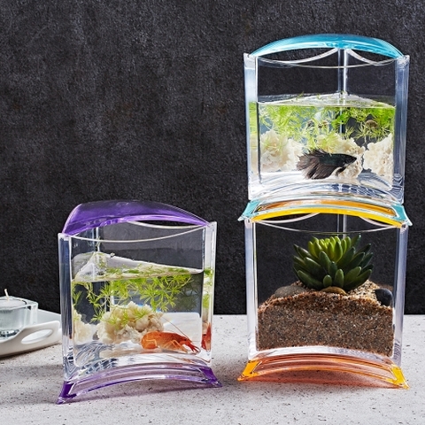 Hồ cá Betta tam giác - Ista Stylish Display Case - Triangle Tank