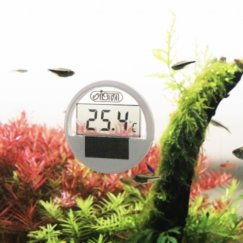 Nhiệt kế điện tử năng lượng mặt trời - Ista Solar Digital Thermometer