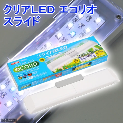 Đèn LED - Clear LED Ecolio Slice