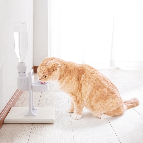 Bình uống nước tự động cho Mèo - Gex PC Drink Bowl for Cat