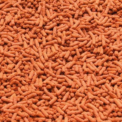 Thức ăn cá cảnh - JBL NovoFlower Maxi