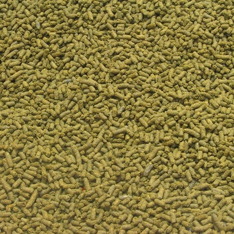 Thức ăn cá cảnh- JBL NovoRift