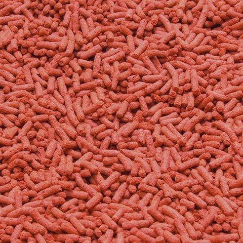 Thức ăn cá cảnh - JBL NovoStick M