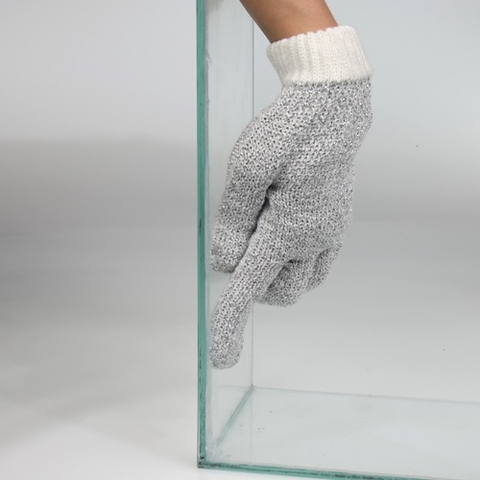 Bao tay chà hồ - JBL Cleaning Glove