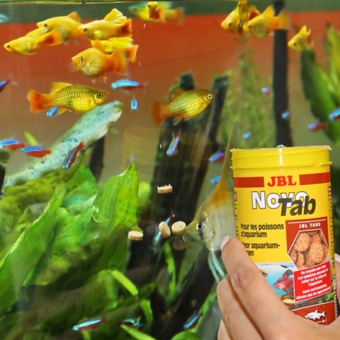 Thức ăn cá cảnh - JBL NovoTab