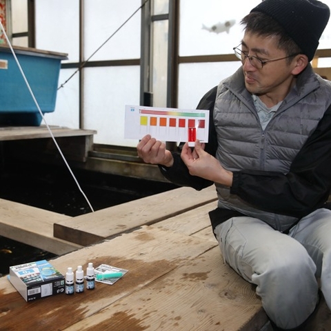 Test Oxygen - JBL Pro Aquatest O2